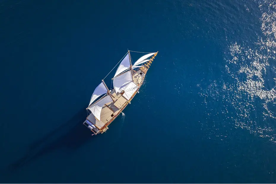 Nataraja - Fleet Exterior - 02