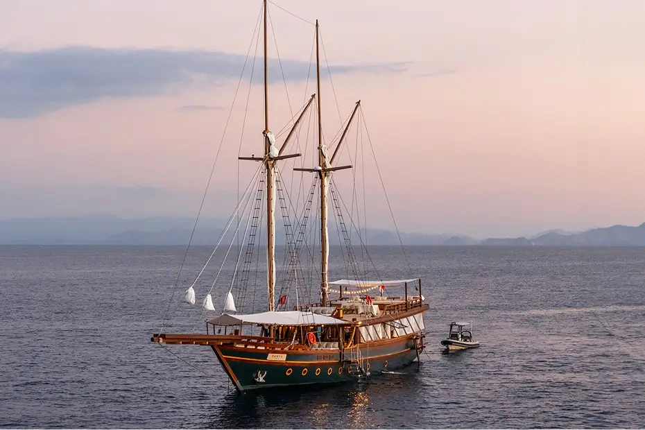 Sanya - Fleet Exterior - 04